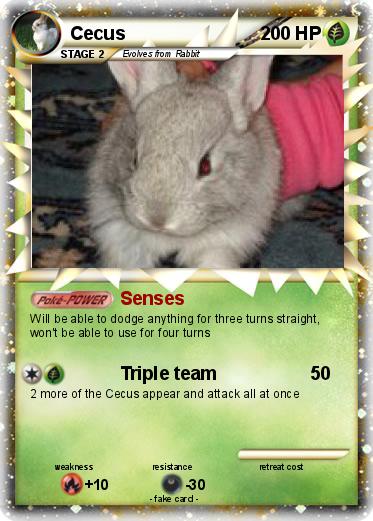 Pokemon Cecus