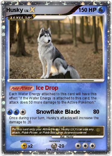 Pokemon Husky