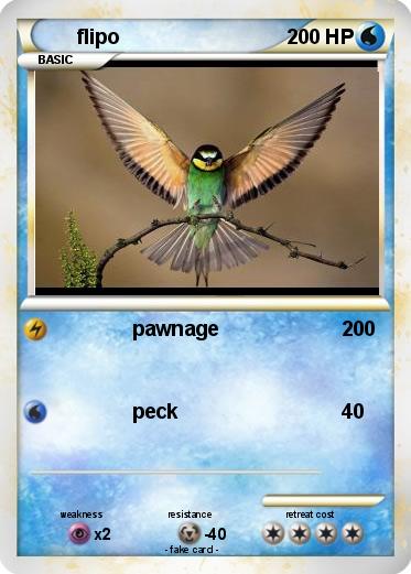 Pokemon flipo