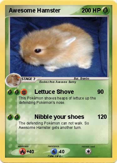 Pokemon Awesome Hamster