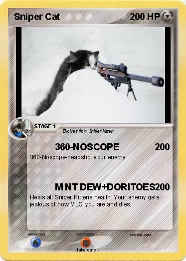 Pokemon Sniper Cat