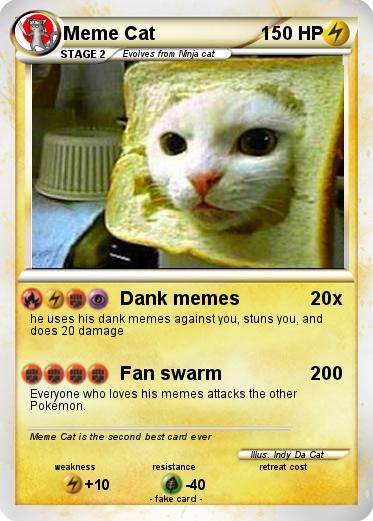Pokemon Meme Cat
