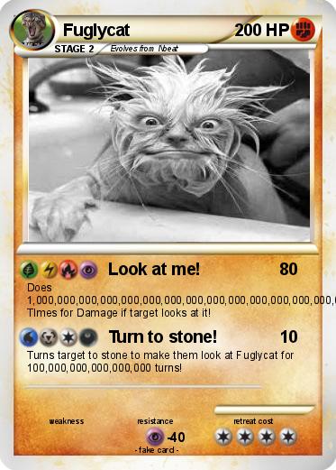 Pokemon Fuglycat