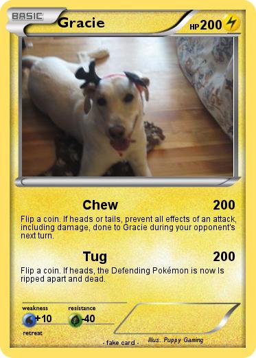 Pokemon Gracie