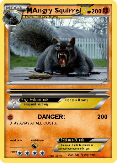Pokemon Angry Squirrel