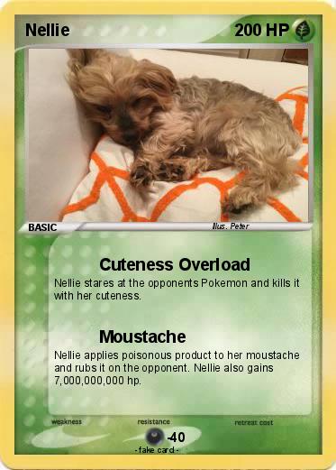 Pokemon Nellie