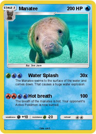 Pokemon Manatee