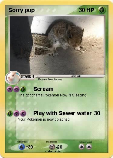 Pokemon Sorry pup