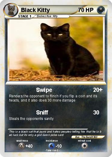 Pokemon Black Kitty