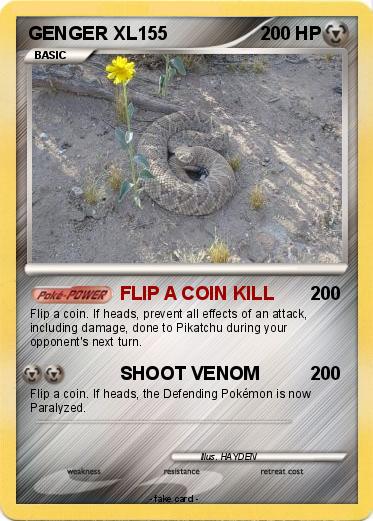 Pokemon GENGER XL155
