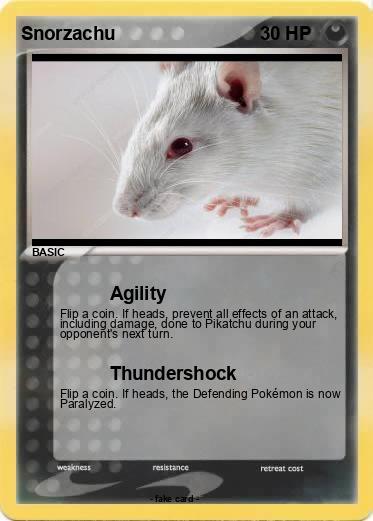 Pokemon Snorzachu