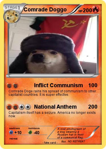 Pokemon Comrade Doggo