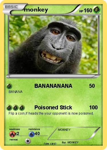 Pokemon monkey