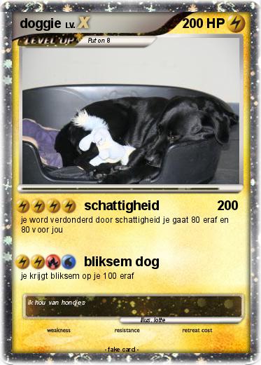 Pokemon doggie