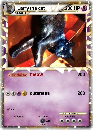Pokemon Larry the cat