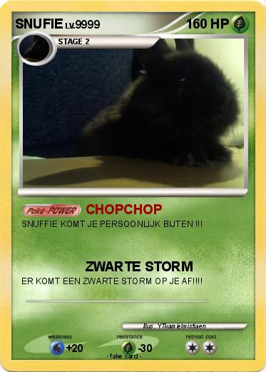 Pokemon SNUFIE