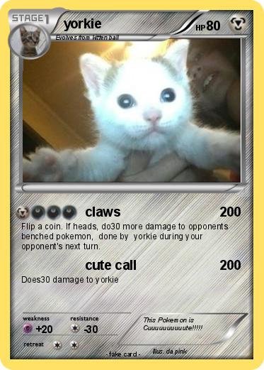 Pokemon yorkie
