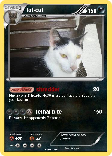 Pokemon kit-cat