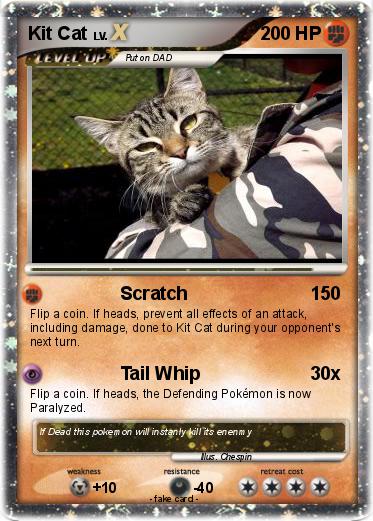 Pokemon Kit Cat