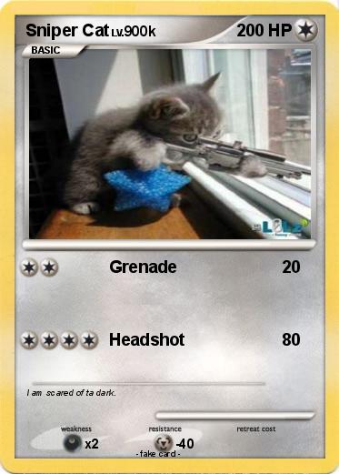 Pokemon Sniper Cat