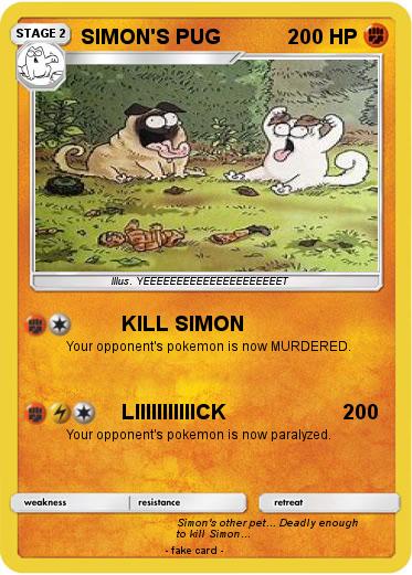 Pokemon SIMON'S PUG