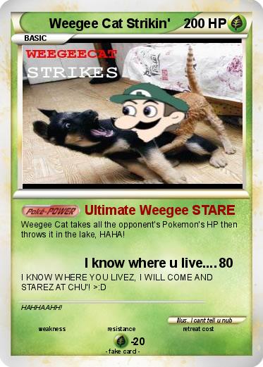 Pokemon Weegee Cat Strikin'