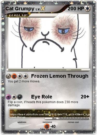 Pokemon Cat Grumpy