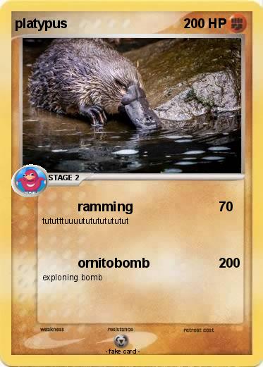 Pokemon platypus