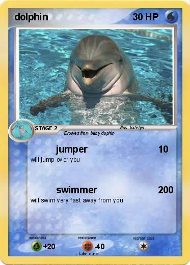 Pokemon dolphin