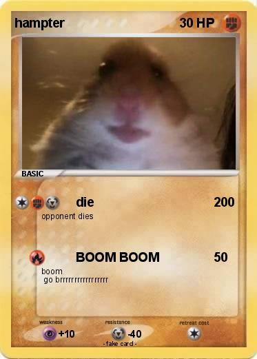 Pokemon hampter
