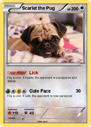 Pokemon Scarlet the Pug