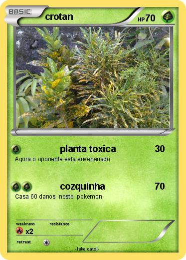 Pokemon crotan