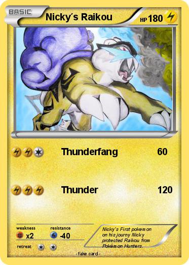 Pokemon Nicky´s Raikou