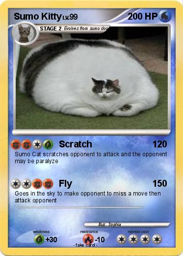 Pokemon Sumo Kitty