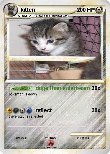 Pokemon kitten