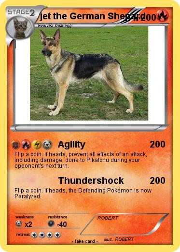 Pokemon jet the German Shepard