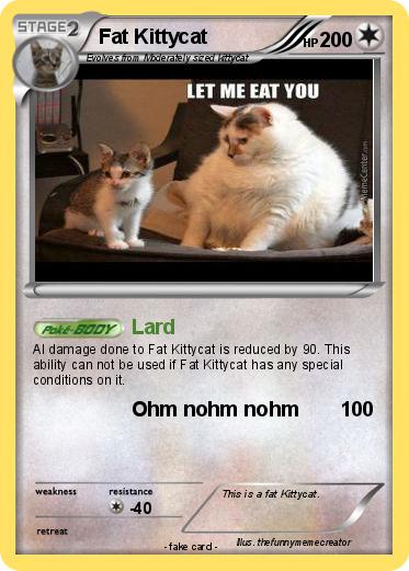 Pokemon Fat Kittycat