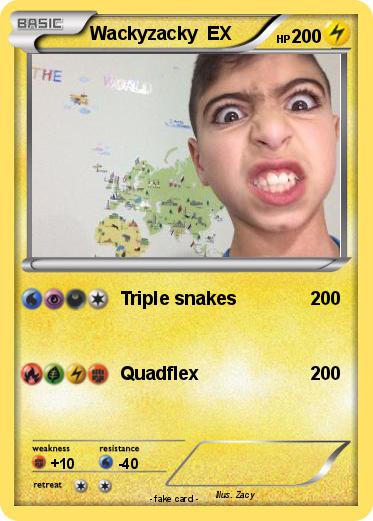 Pokemon Wackyzacky  EX
