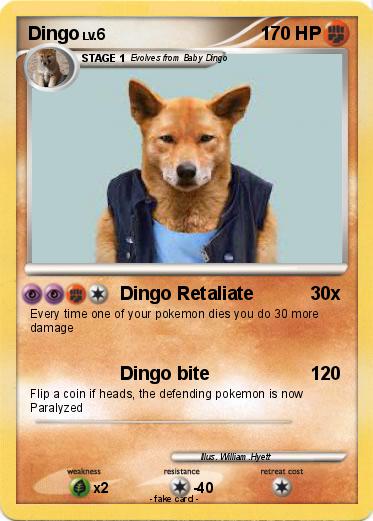 Pokemon Dingo