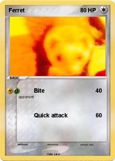 Pokemon Ferret