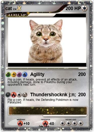 Pokemon cat