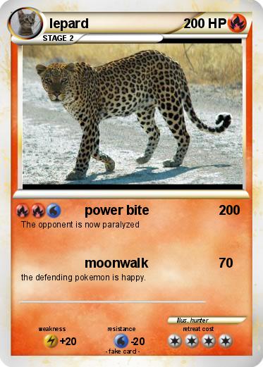 Pokemon lepard