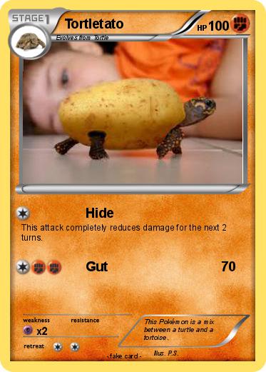 Pokemon Tortletato