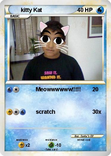 Pokemon kitty Kat