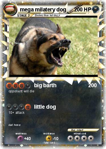 Pokemon mega milatery dog