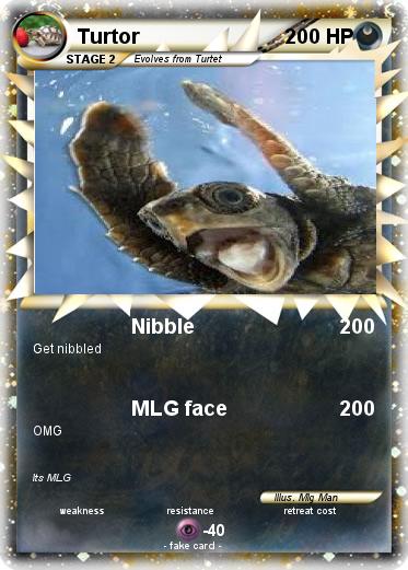 Pokemon Turtor