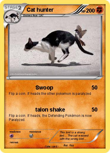Pokemon Cat hunter