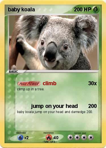 Pokemon baby koala