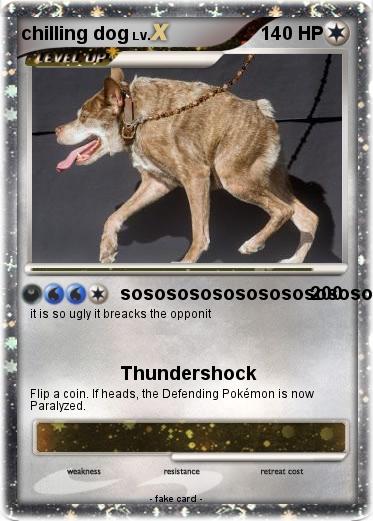 Pokemon chilling dog