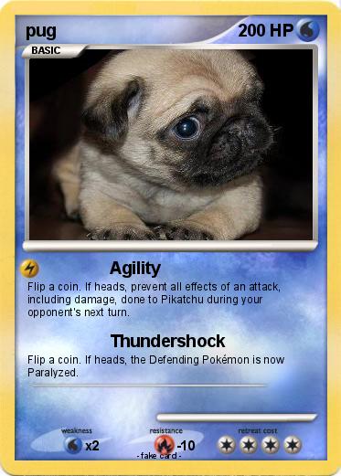 Pokemon pug